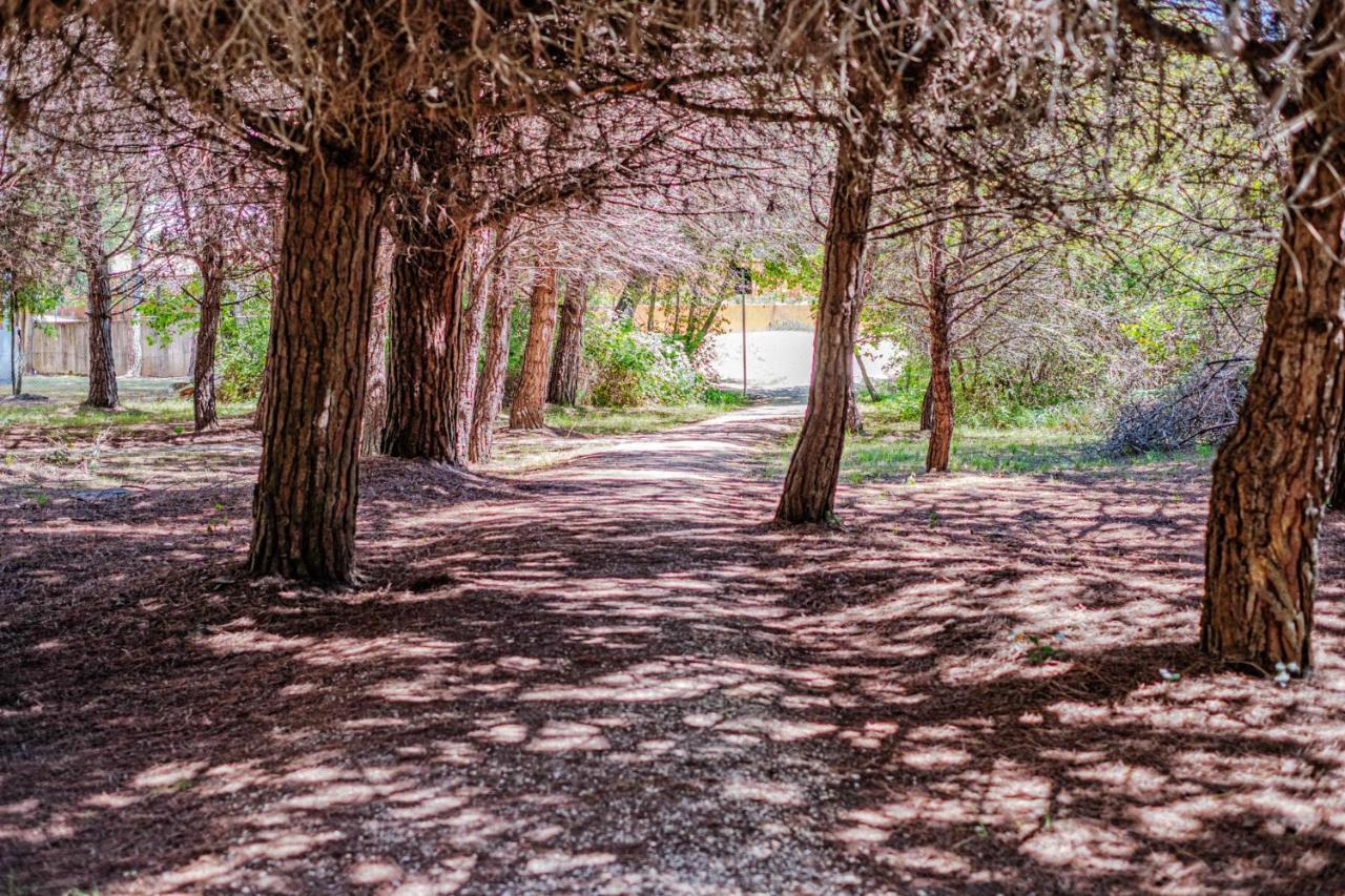 Bosco Canoro Bibione Resort Extérieur photo